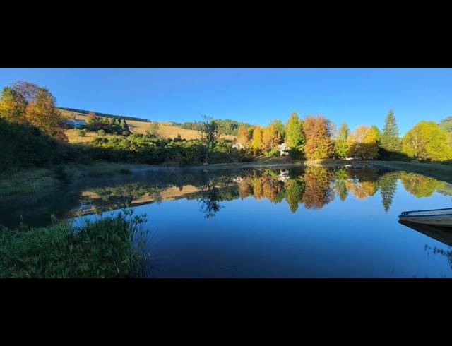 FARM FOR SALE IN DARGLE